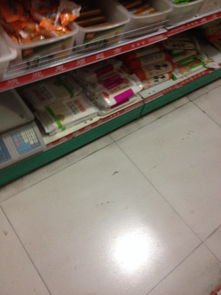 超市鼠患治理全攻略 从根源解决网线与监控的破坏问题